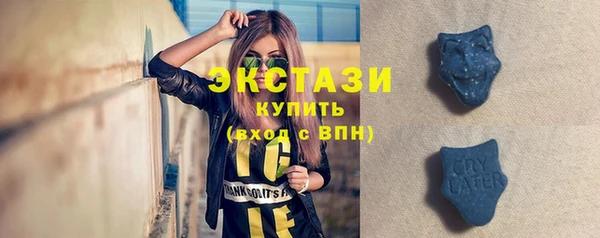 индика Бежецк